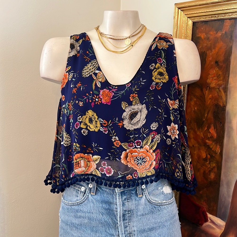 NWT Francesca’s Crop Top